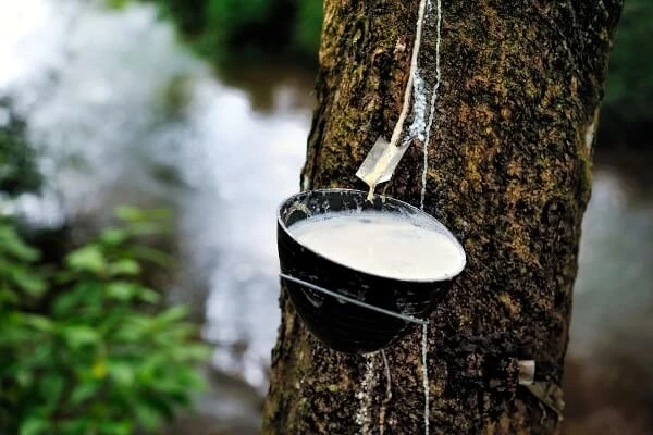 Производство латекса